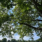 Separation & Silence 