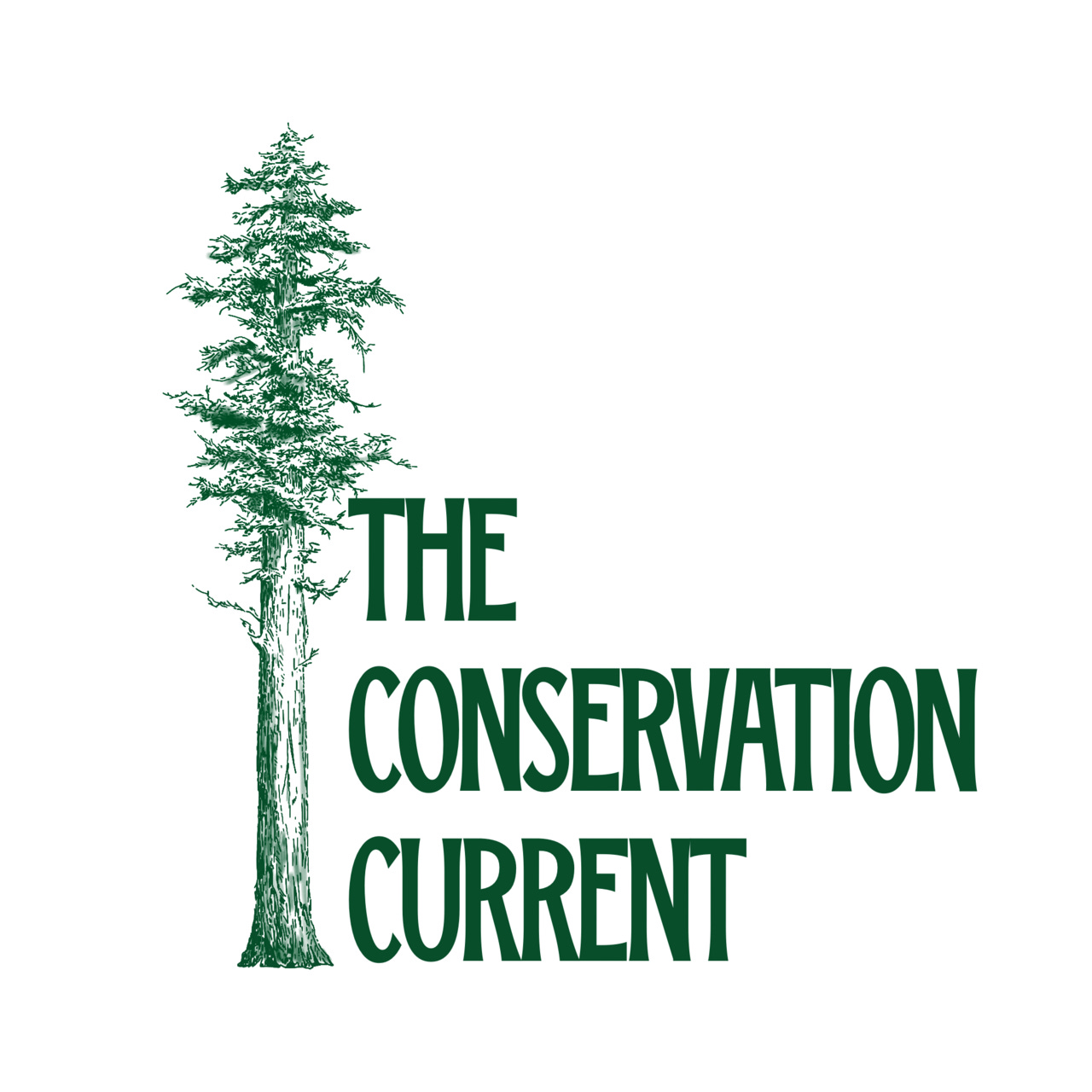The Conservation Current