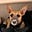Brenda Butchart's avatar