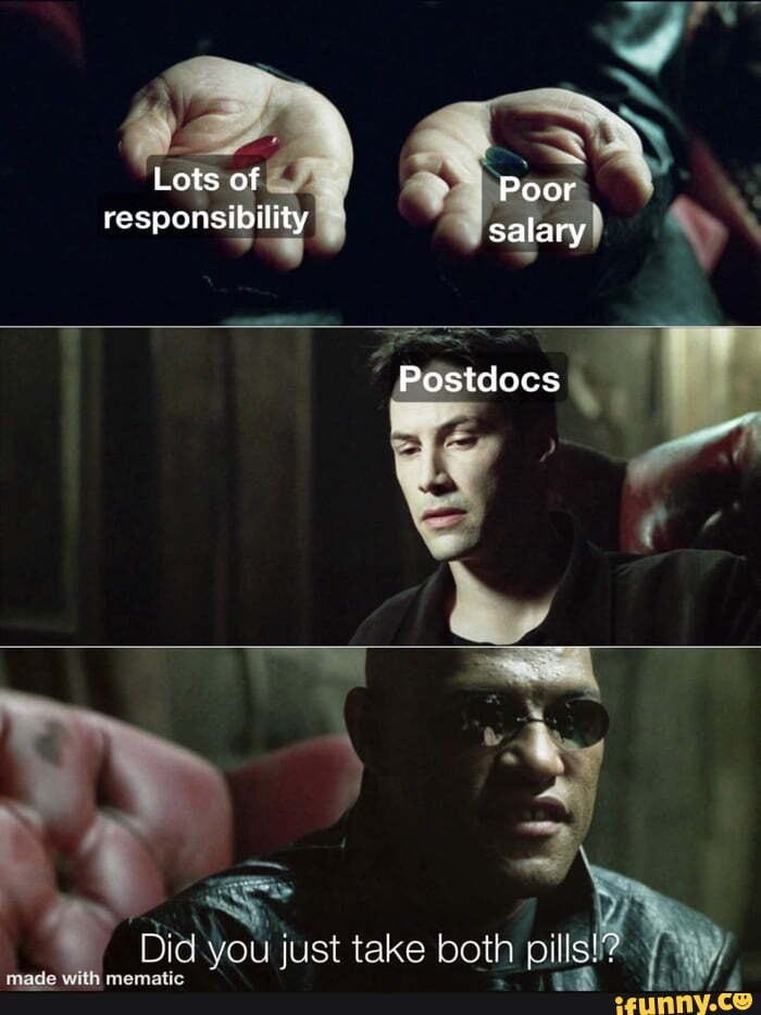 Postdocs memes. Best Collection of funny Postdocs pictures on iFunny Brazil