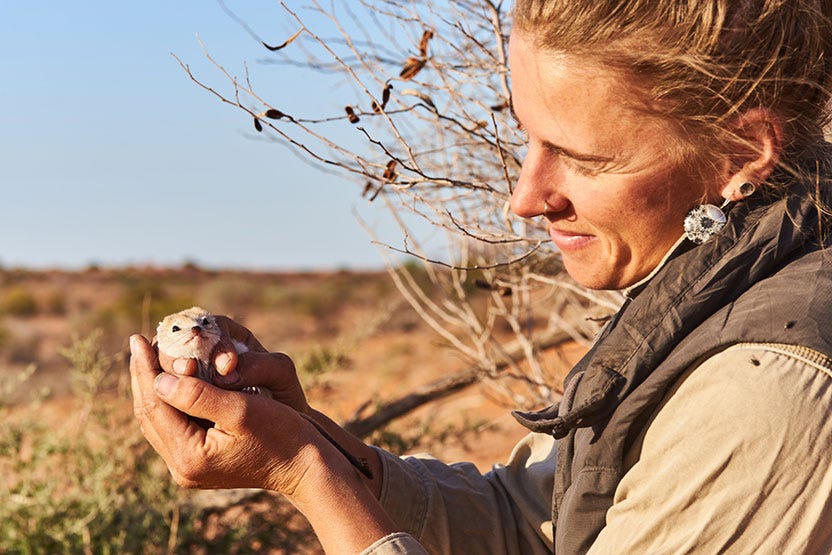 Dympna Cullen holds the first ampurta captured during field surveys in 2019. Image by Jack Dickson.
