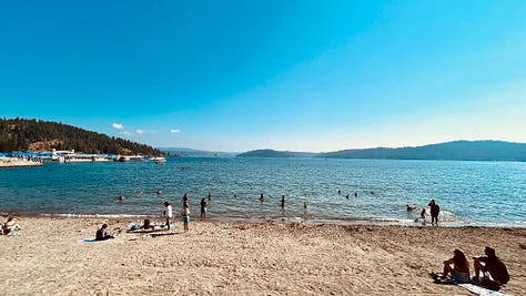 beach, lake, mountain, sky, drinks, animals