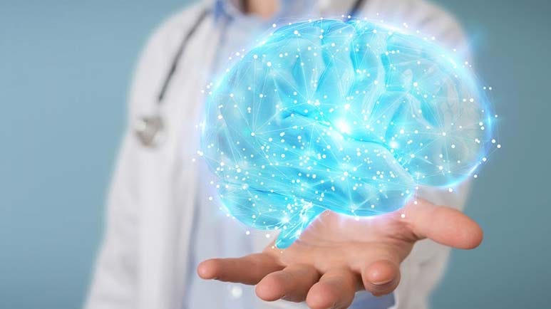 brain nutrients