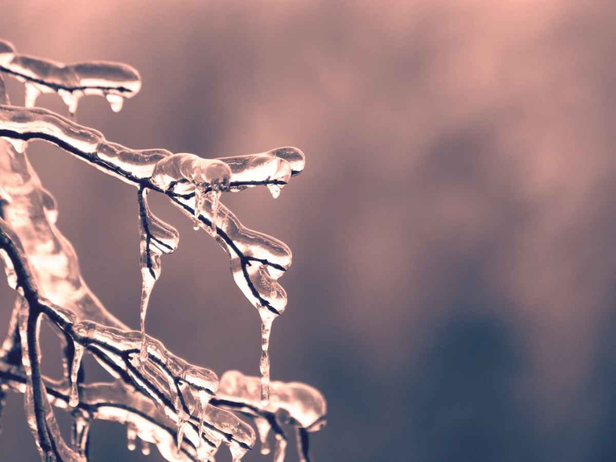 Wind Chill Warning issued for parts of Connecticut, Massachusetts, and Rhode Island