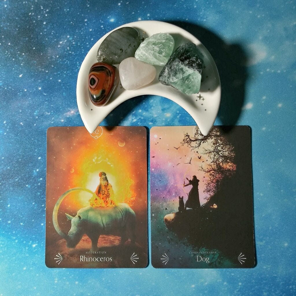 A Message from the Universe ~ Balance in Relationships, Divine Animals Oracle Cards