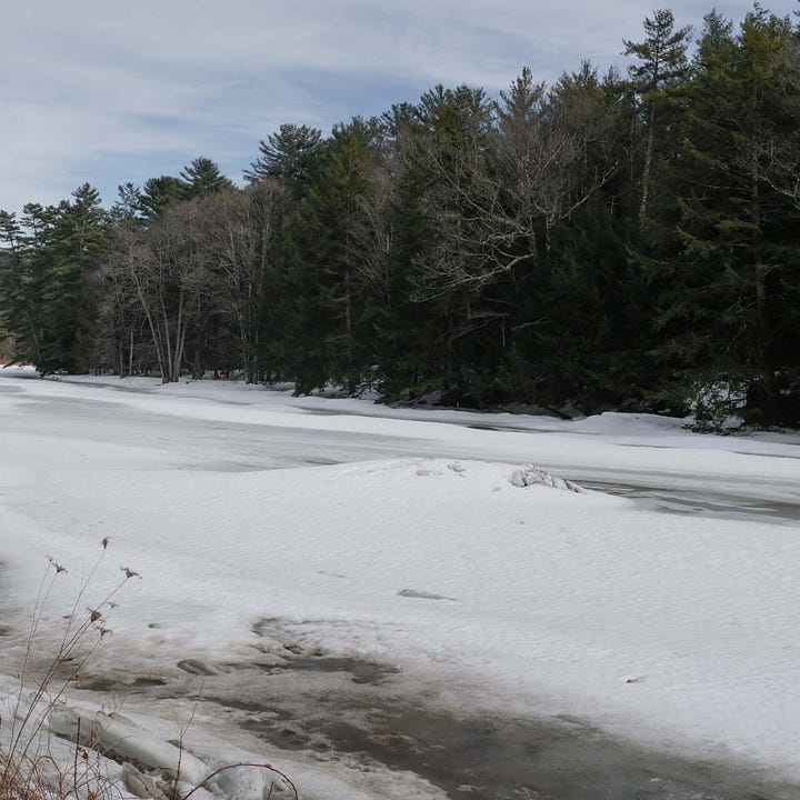 Four photographs of a snow covered rock in the middle of an icy river, which is melting so there is water flowing in the third and forth images.