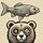 Fish And Bear Connection