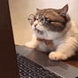 Odon's avatar