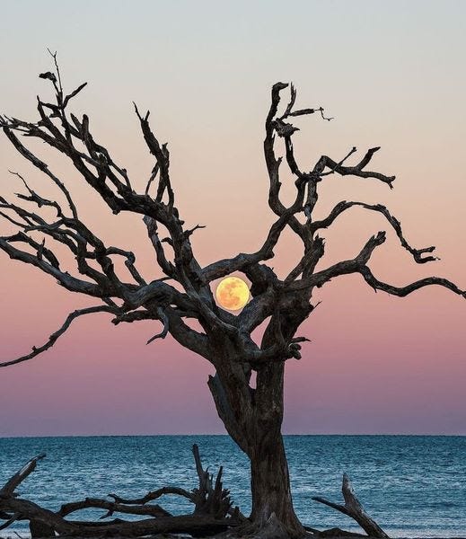 charleshughsmith.substack.com