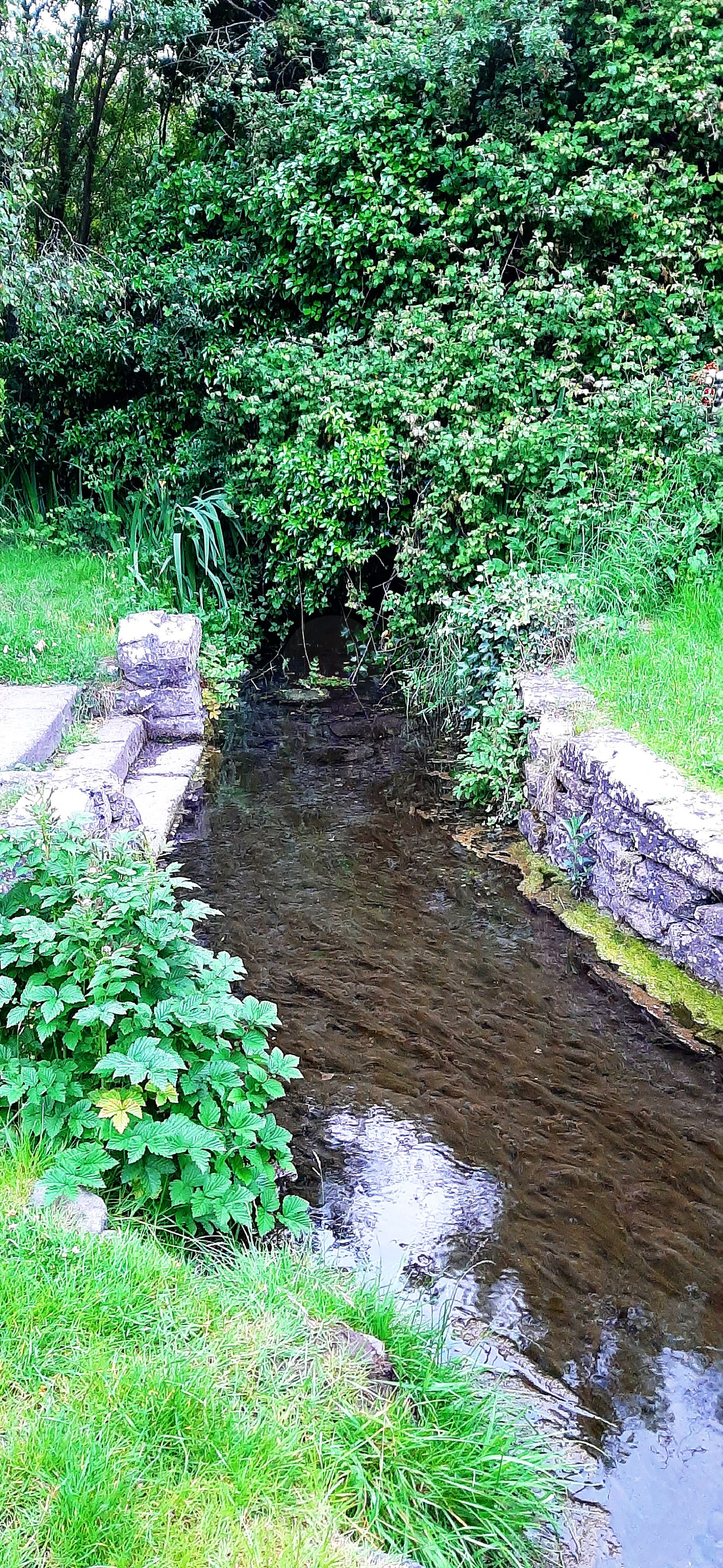 The Creatrix Experience - St. Brigid's Well - Kildare ©2025 Elizabeth des Roches