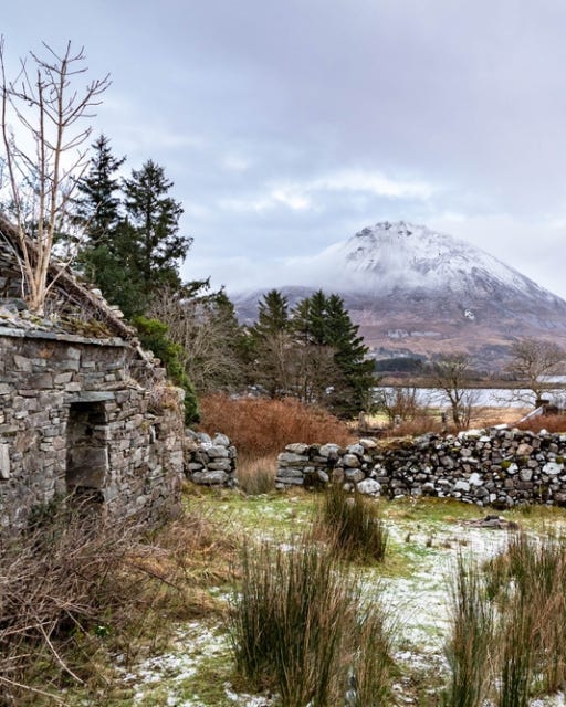 Find Your Irish Roots - by Scriptor Cogitationum