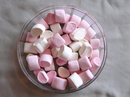 marshmallows marshmallows
