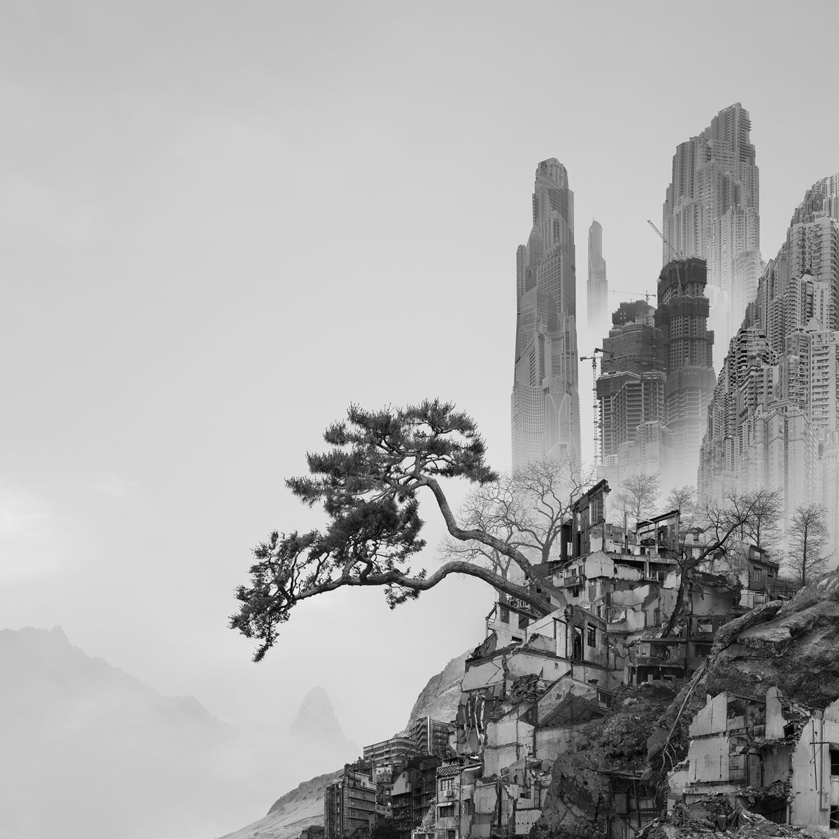 YANG YONGLIANG - PARIS-B