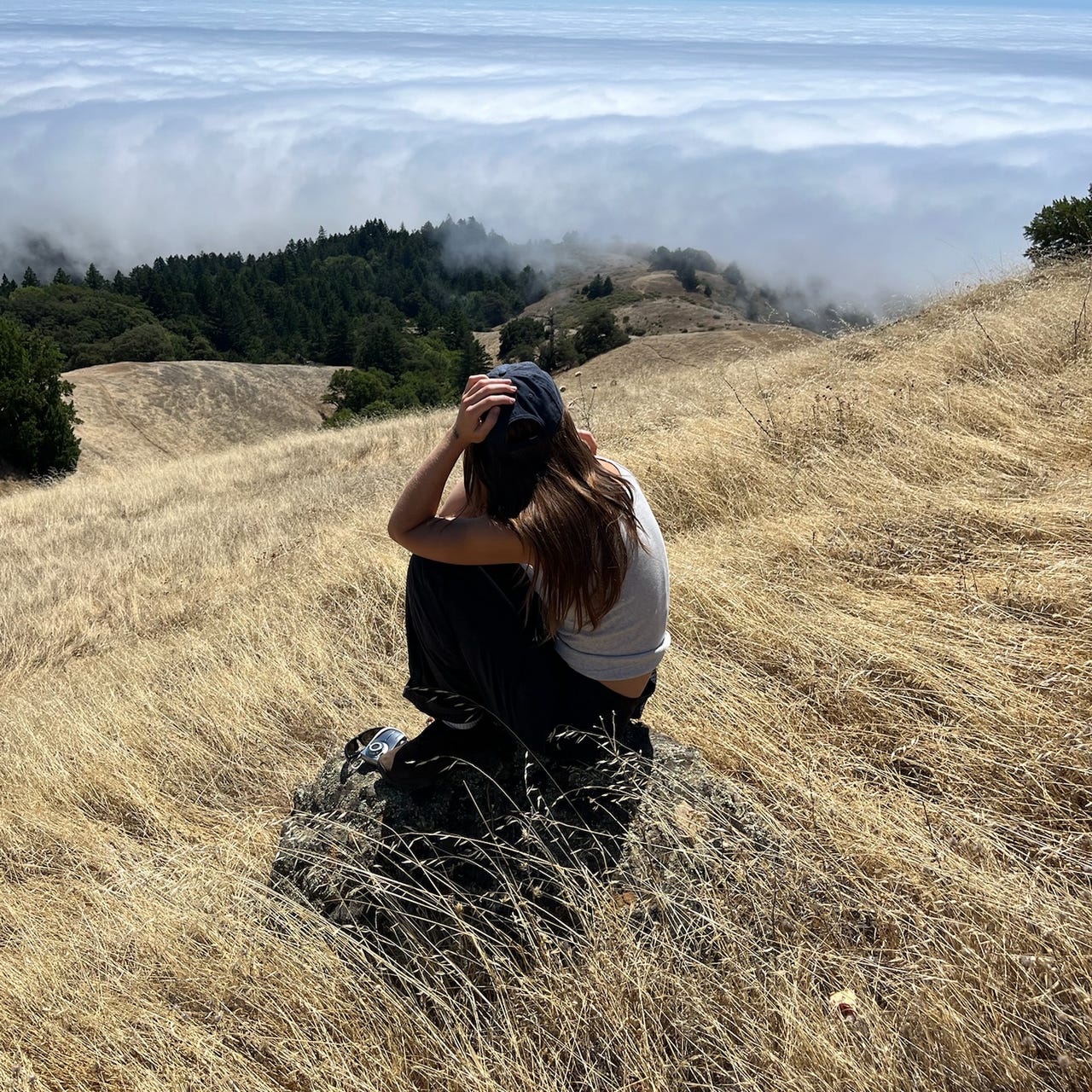 tomberlin’s newsletter