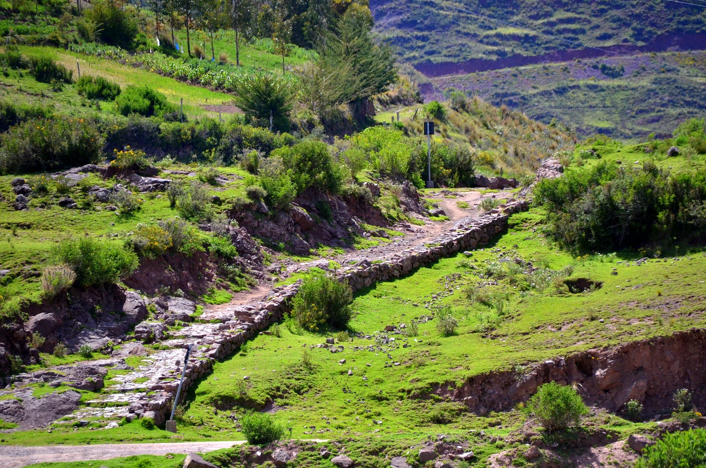Why the Aztecs, Inca, and Maya never invented the wheel