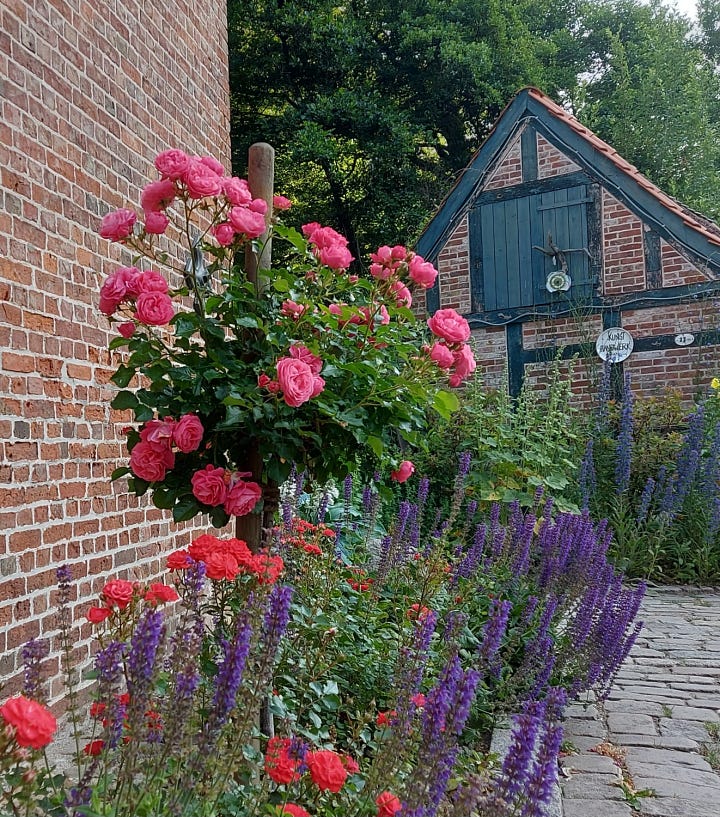 Roses
