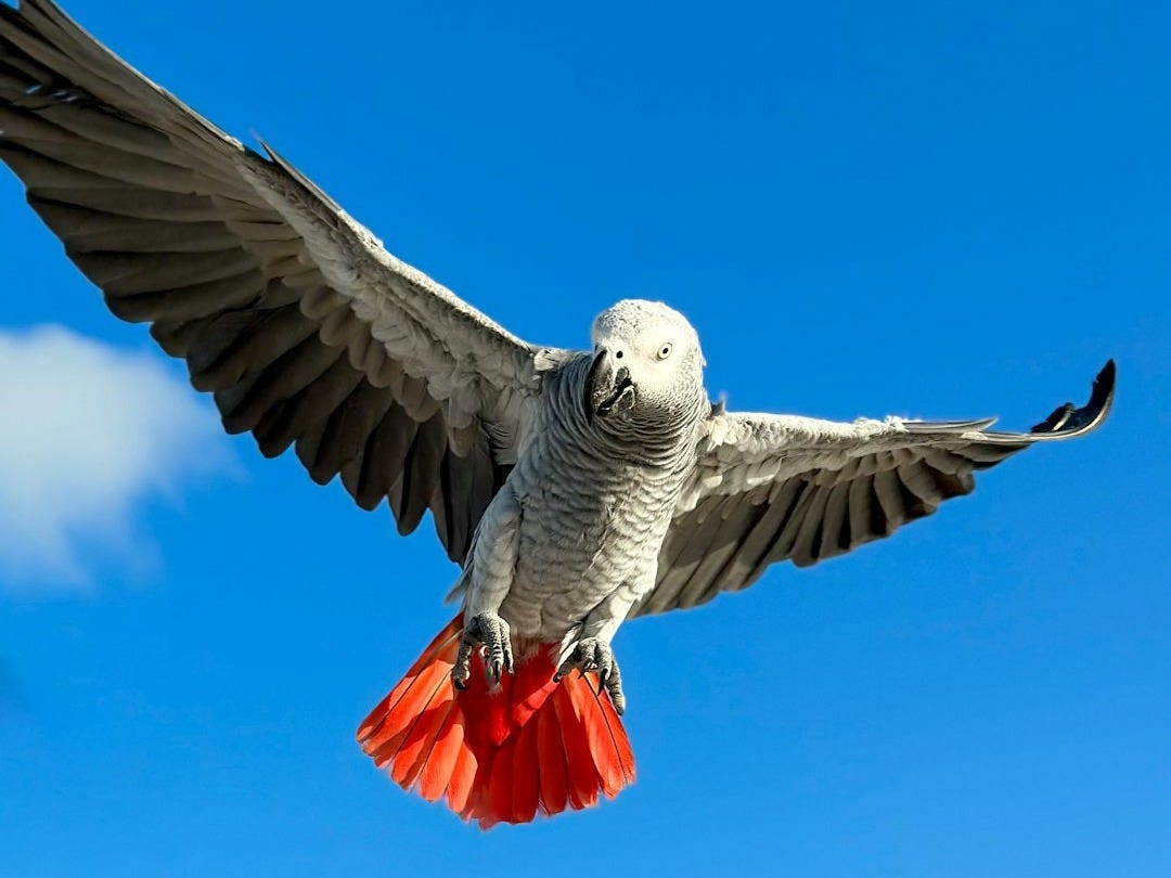 Les 7 Bonnes Nouvelles du Dimanche 7 Décembre 2025