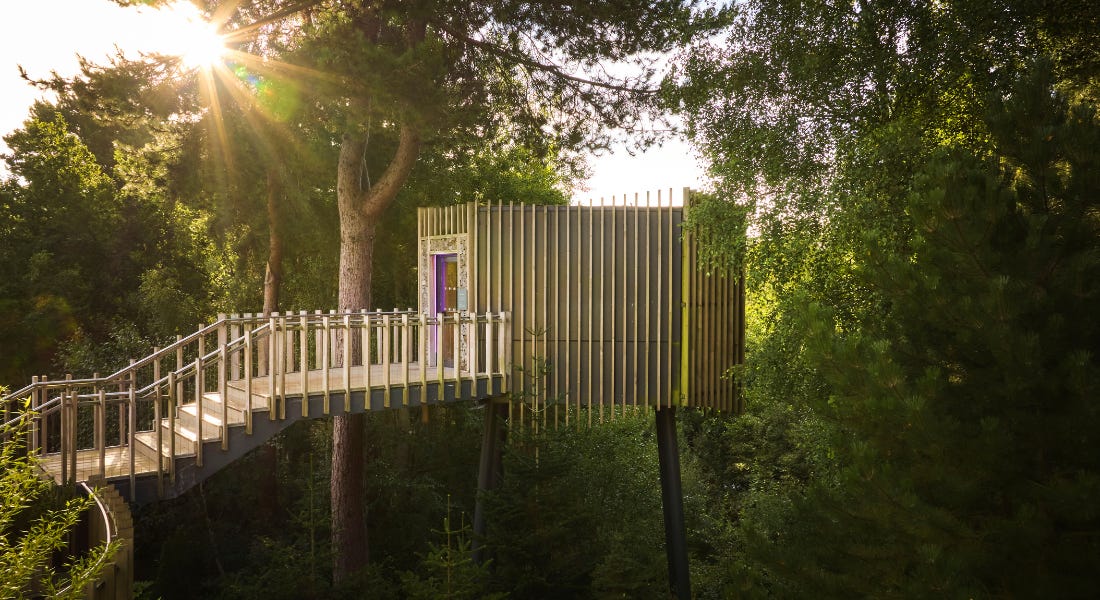 A treehouse spa with steps, with trees nestled around it
