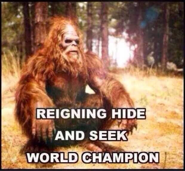 Jacob Nordby on X: "Reigning "hide and seek" champion #humor #Bigfoot #sasquatch http://t.co/AHC8yITG5n" / X Jacob Nordby on X: "Reigning "hide and seek" champion #humor #Bigfoot #sasquatch http://t.co/AHC8yITG5n" / X