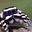 Sanks's avatar