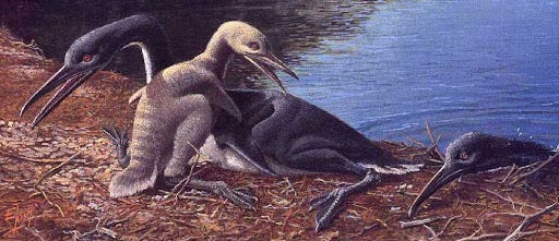 Hesperonis