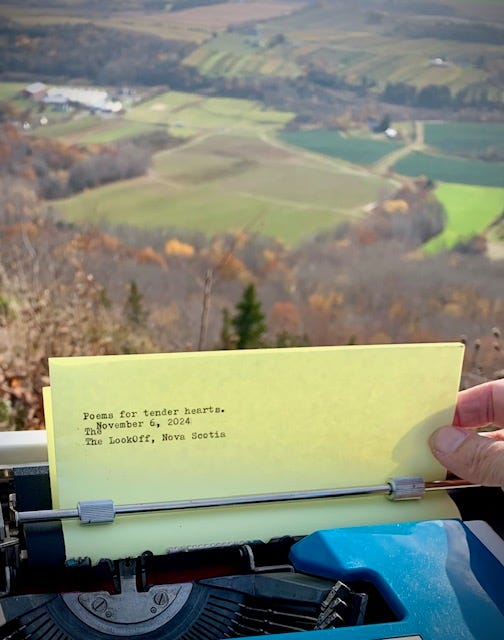 a typewriter with yellow paper is perched on a lookoff above an autumn valley. The paper reads :poems for tender hearts November 6, 2024 The LookOff, Nova Scotia