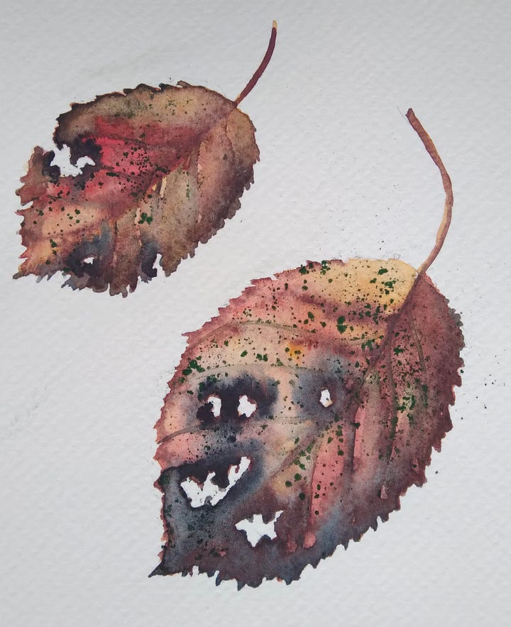 Watercolours and drawings of Autumnal leaves and tree fruit from classes with ELizabeth Tomkins..