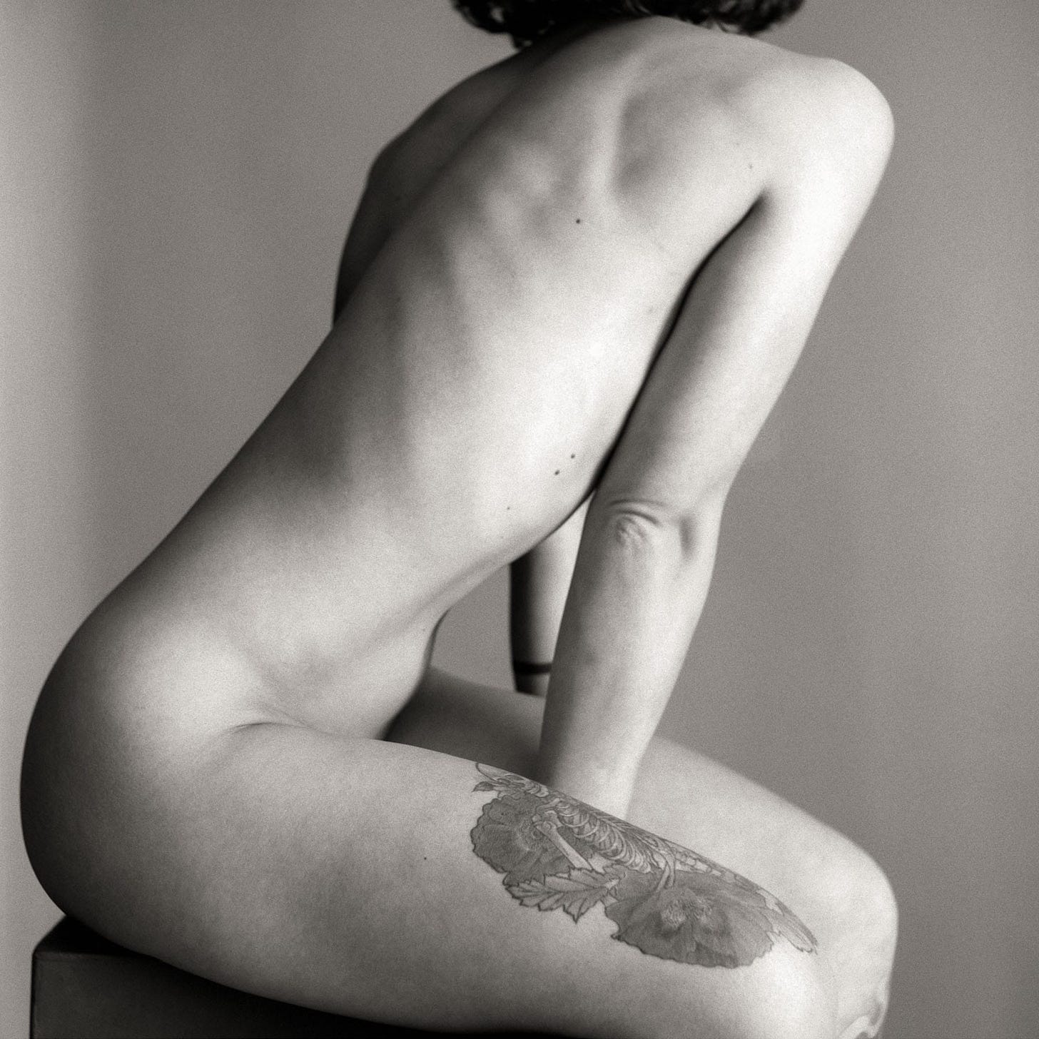Studio Nudes Studio Nudes