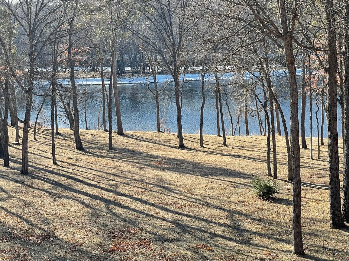 A group of trees by a body of water

Description automatically generated