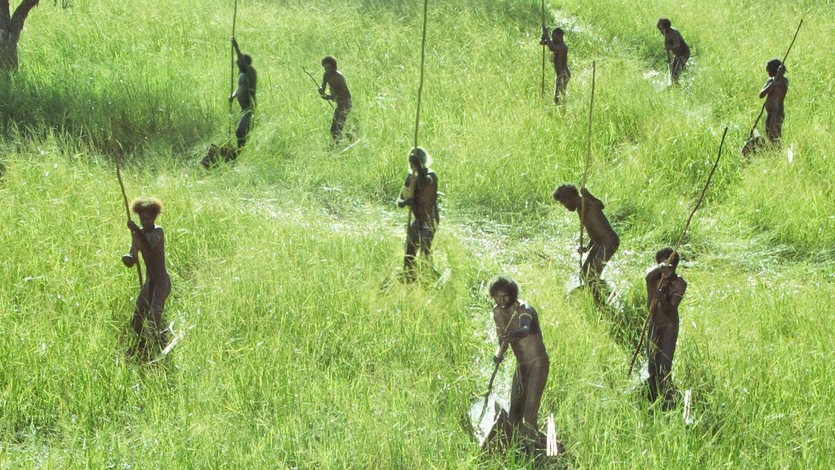 Ten Canoes (2006) directed by Rolf de Heer, Peter Djigirr • Reviews, film +  cast • Letterboxd