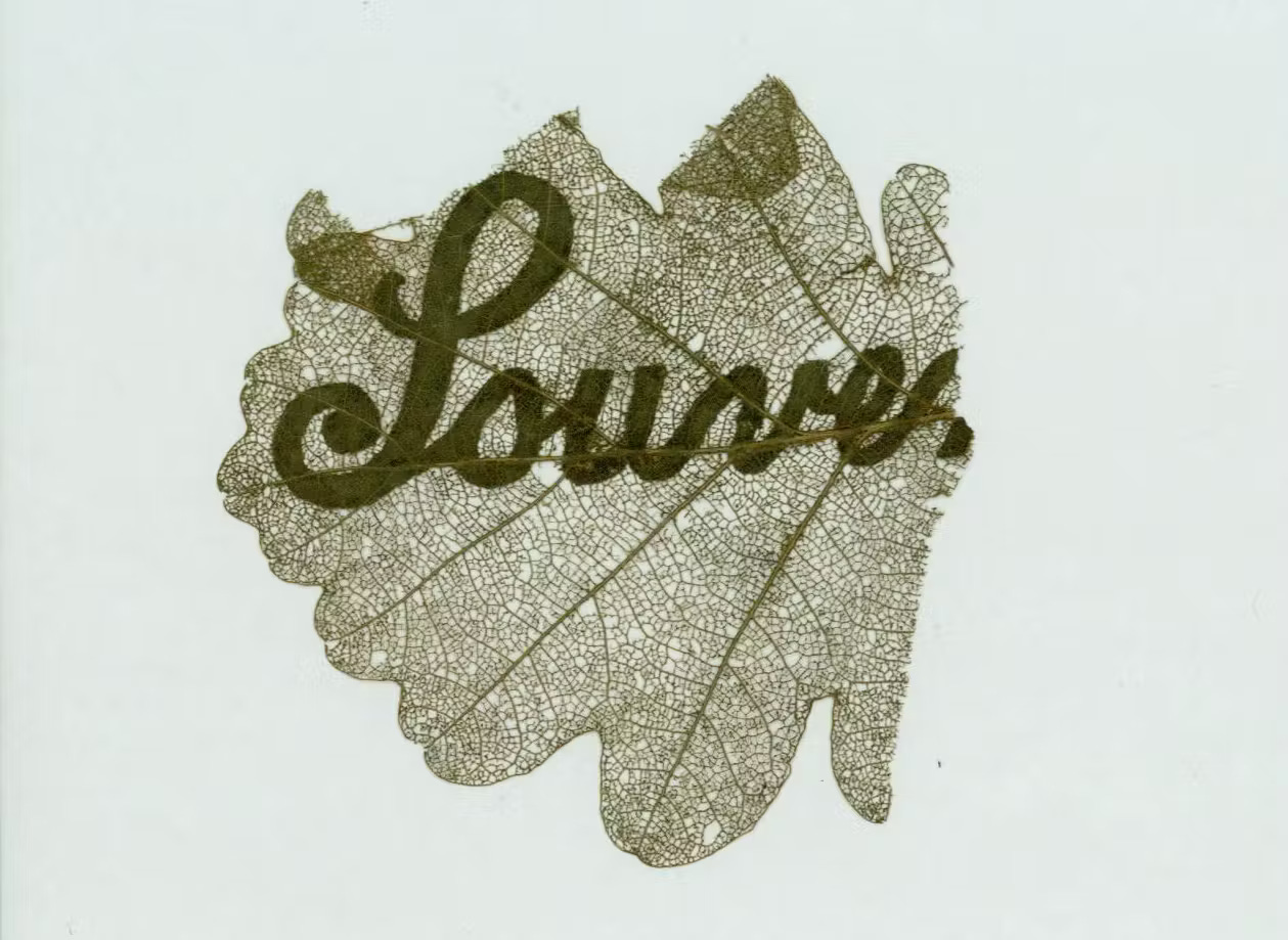 leaf with written text on it