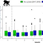 Primatology.net