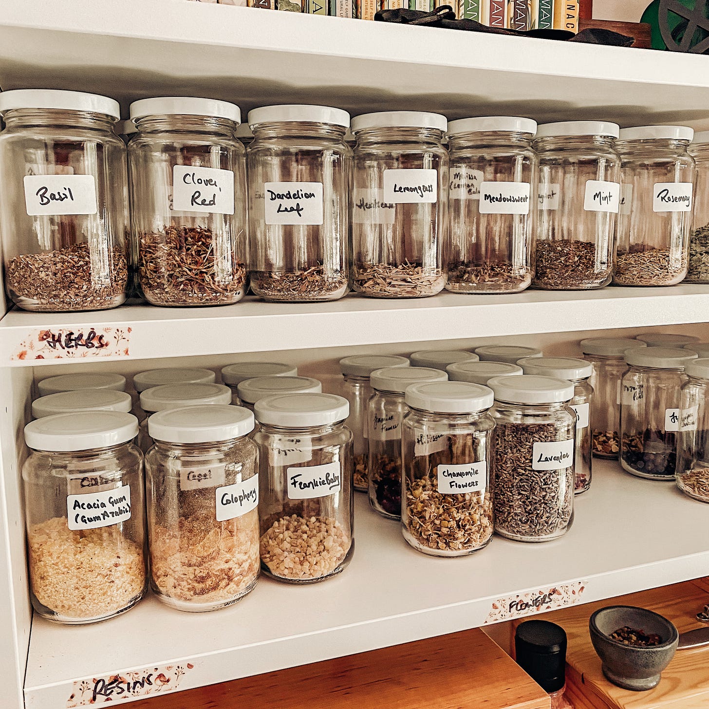 A collection of clear glass jars containing a variety of herbs and resins sit on white shelves. Immediately visible are jars containing basil, red clover, dandelion leaf, lemongrass, meadowsweet, mint, rosemary, acacia gum, colophony, frankincense, chamomile flowers, and lavender. Each jar has a white lid and a white label upon which the name of the contents is written in black ink.