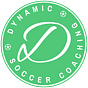 Dynamic Soccer Coaching's avatar