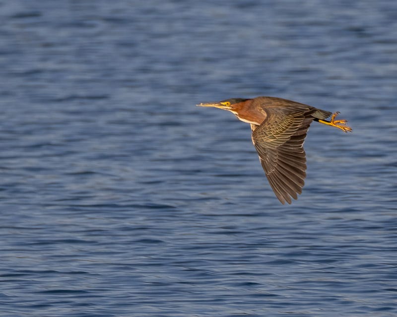 20241112-CCP-103-Edit.jpg 20241112-CCP-103-Edit.jpg