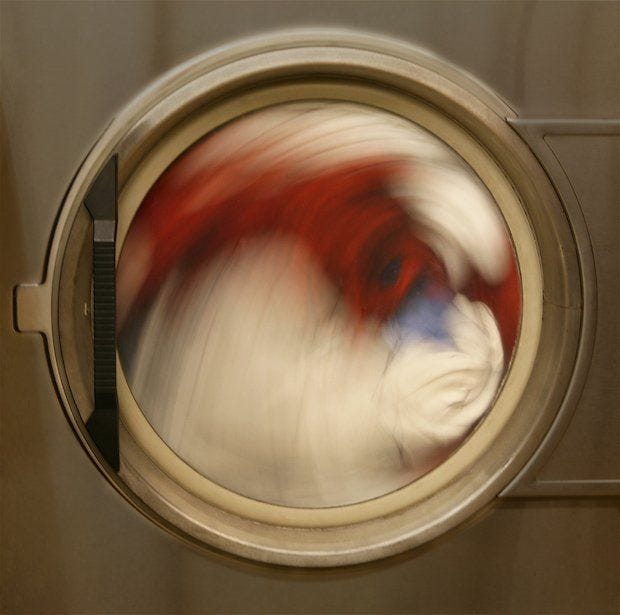 This may contain: the reflection of a dog's head in a washer door with red, white and blue paint