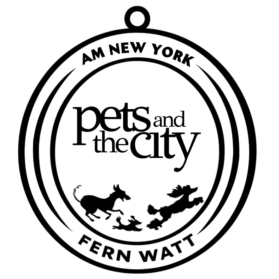 Pets and the City