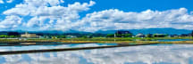紺野大地 / Daicho Konno