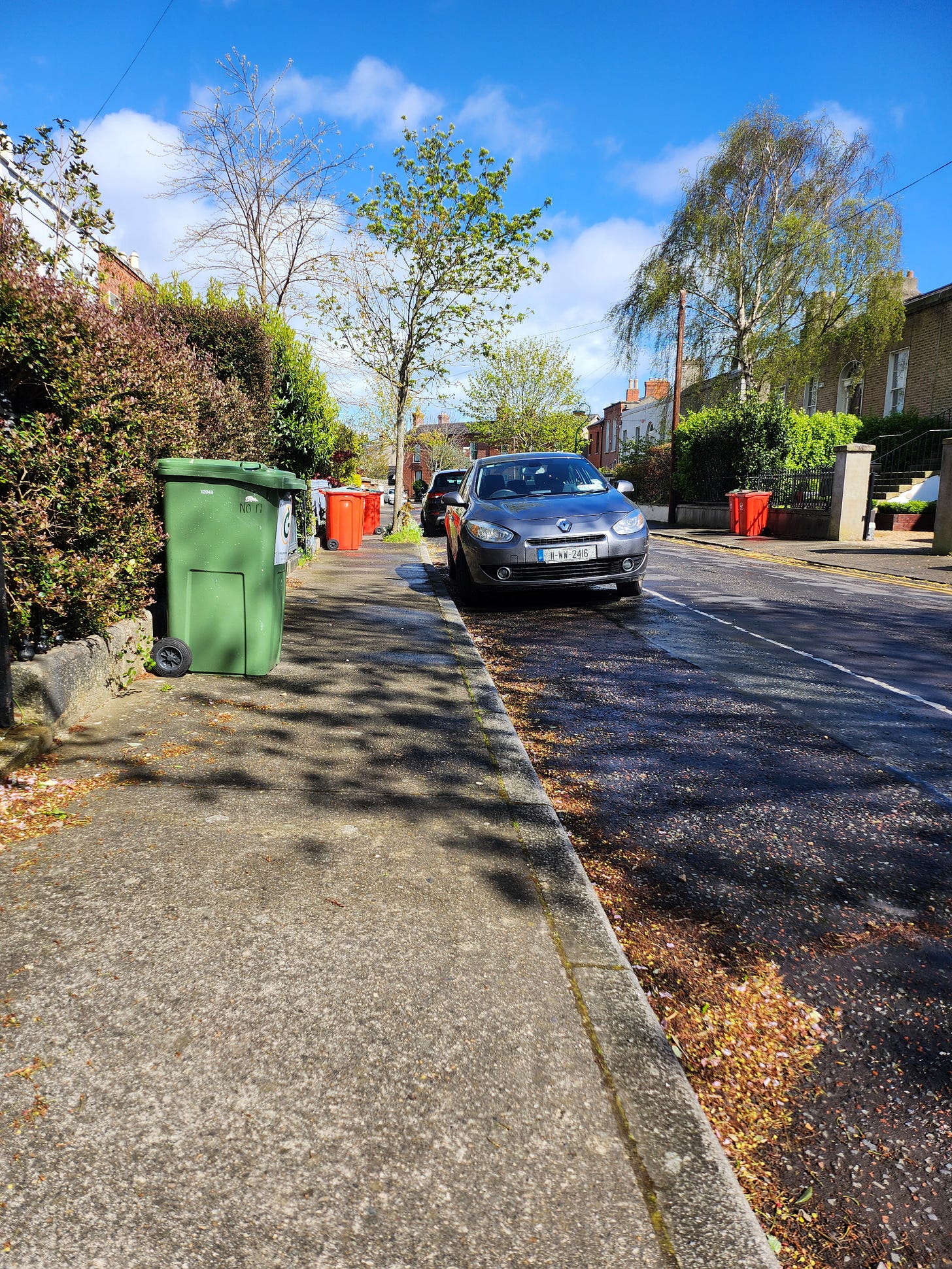 A bright blue sky overlooks a spring scene of trees blossoming and bins lining and blocking the paths. 