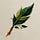 Novotia
