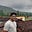 Sandip Chowdhury's avatar