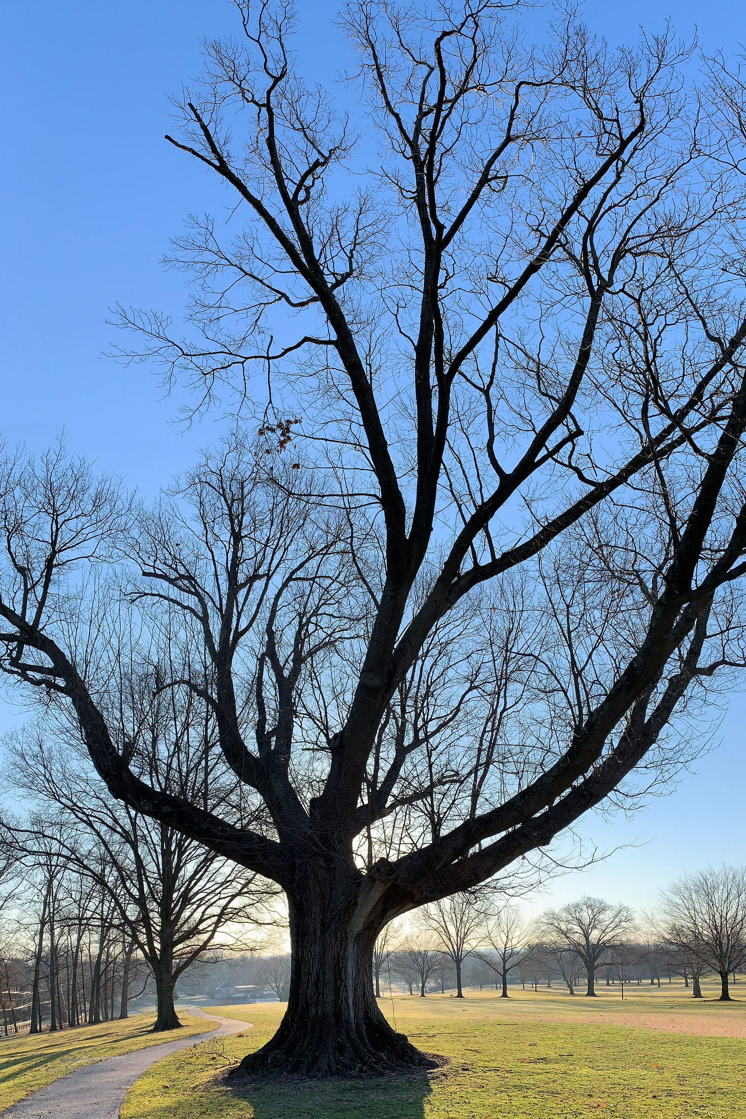 IMG_0359 IMG_0359