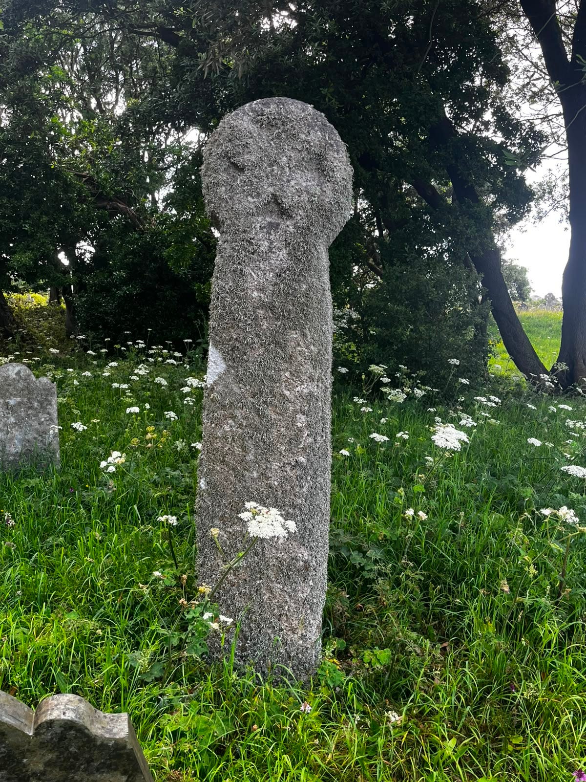 an old granite stone cross standing amidst wildflowers an old granite stone cross standing amidst wildflowers