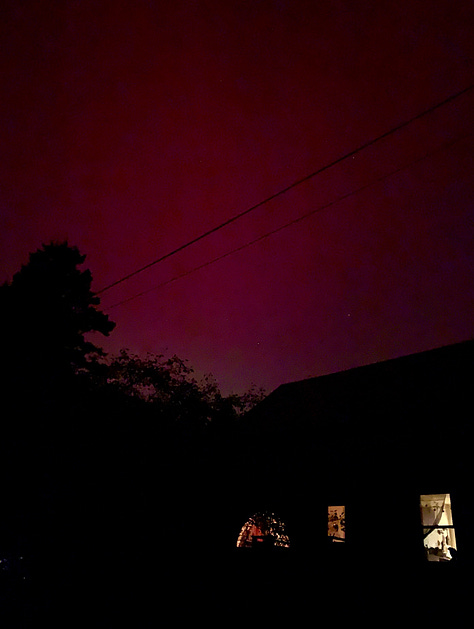 photo one is a bouquet of cosmos and calendula flowers, photo two is a cluster of wild cranberries, photo three is red aurora borealis over a little house