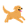 diaryofgus