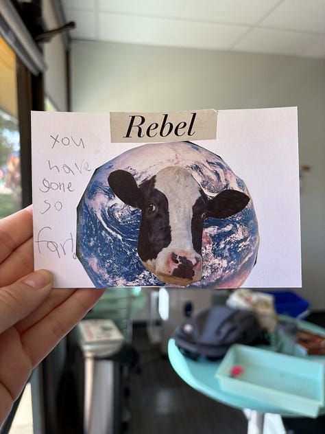 3 collaged postcards: 1 with lots of animals that says "Paradise, Who Knew?", one with planet earth and a cow head that says "Rebel, you have gone so far", and one that says "sprout the unexpected, whisper your name colorfully, embrace".