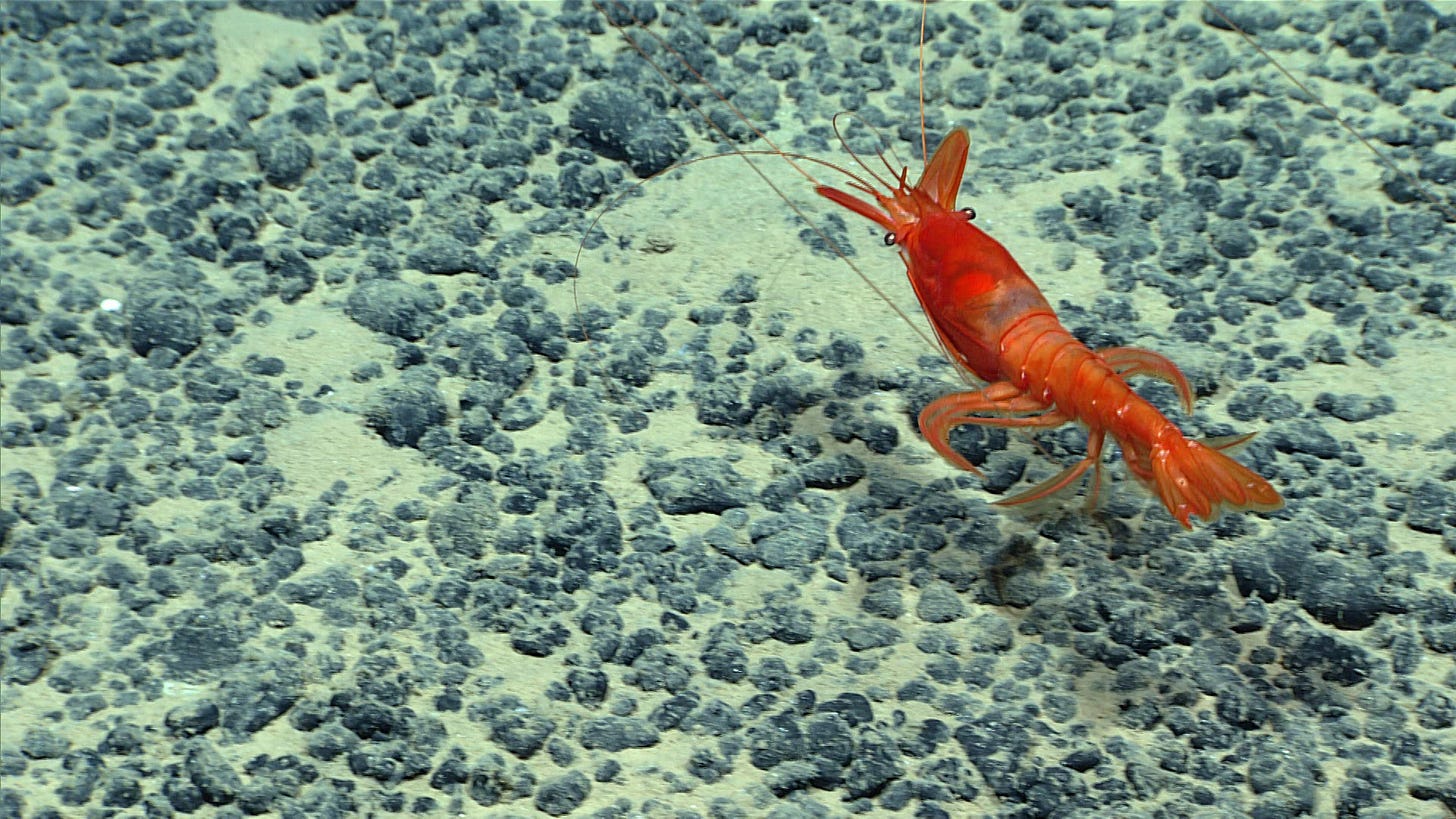 Collaborative Ocean Stewardship