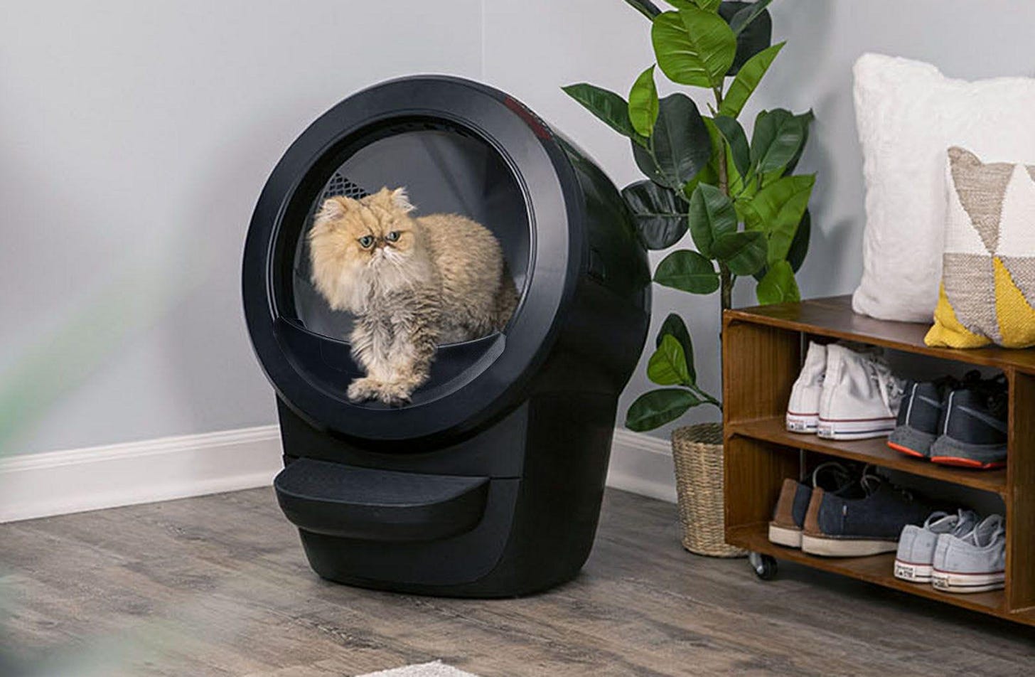 Litter-Robot 4 Starter Bundle - Top Accessories Included