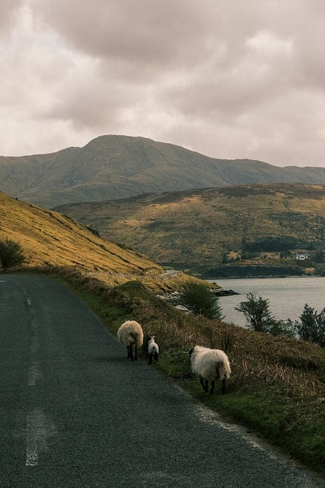 Ireland in Fuji photographs by Tyler Knott Gregson