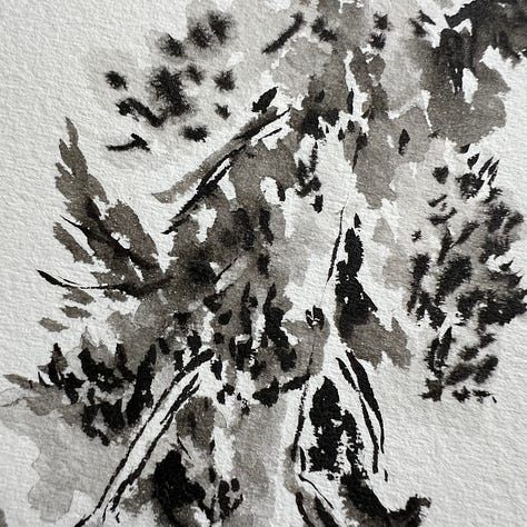 three closeups of a a black and gray painting of a conifer tree